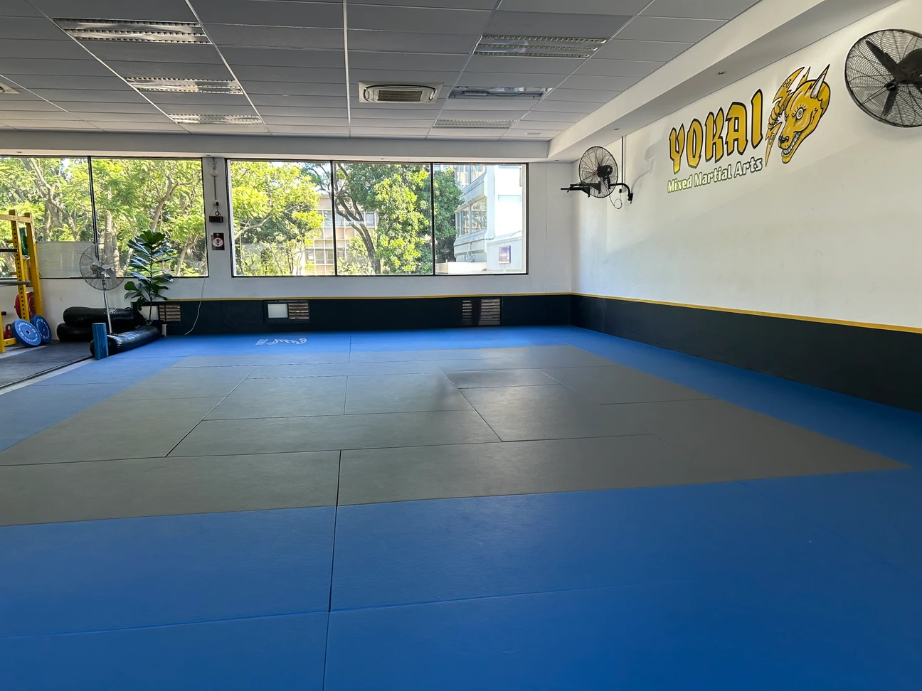 Yokai Mixed Martial Arts