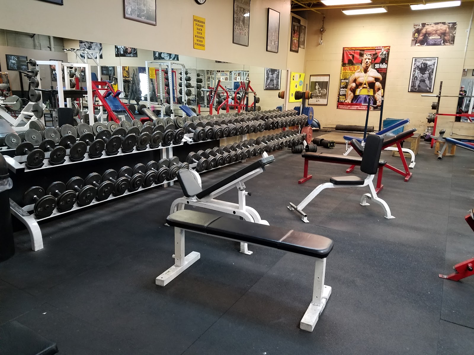 Flex Gym Fitness In Colorado springs Colorado United States