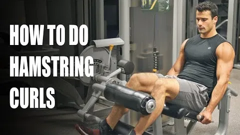 Seated Hamstring Curl