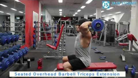 Seated Overhead Tricep Extension With An E-z Curl Bar