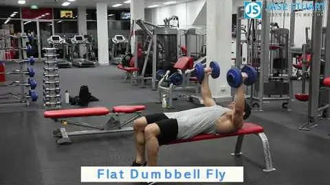 Flat Dumbbell Fly