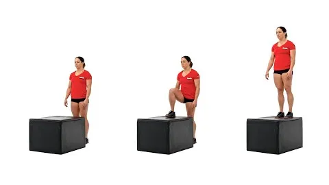 Box Step Up