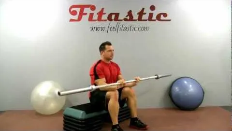 Seated Barbell Reverse Forearm Curl