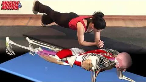 Plank with Leg Raise