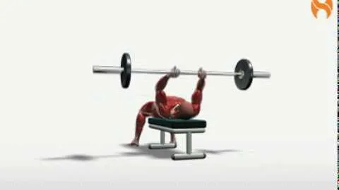 Supine Barbell French Curl