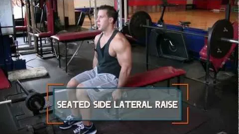 SEATED DUMBBELL SIDE LATERAL RAISE