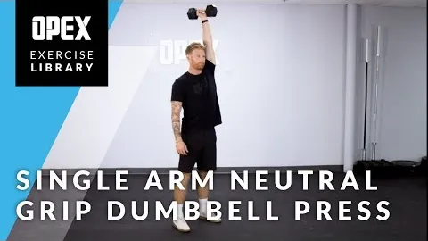 Single Arm Neutral Grip Dumbbell Press