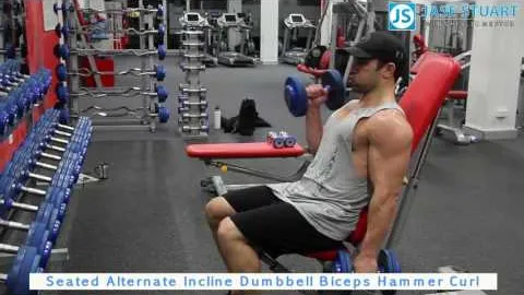 Seated Alternate Incline Dumbbell Biceps Hammer Curl