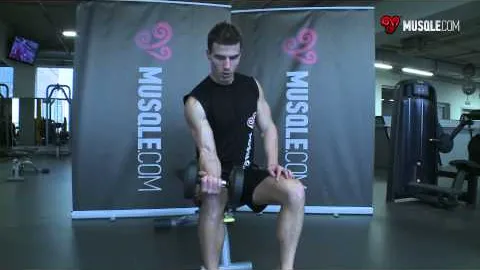 Seated One Arm Dumbbell Palms Up Wrist Curl