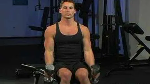 Seated Dumbbell Hammer Curl