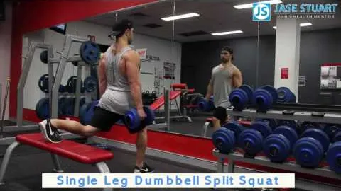 Single Leg Dumbbell Split Squat