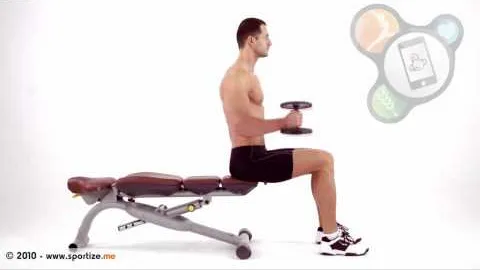 Seated alternating hammer curl with dumbbells