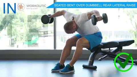 SEATED BENT OVER DUMBBELL REAR LATERAL RAISE