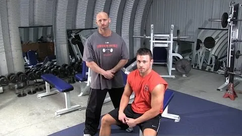 Seated Dumbbell Hammer Concentration Curl