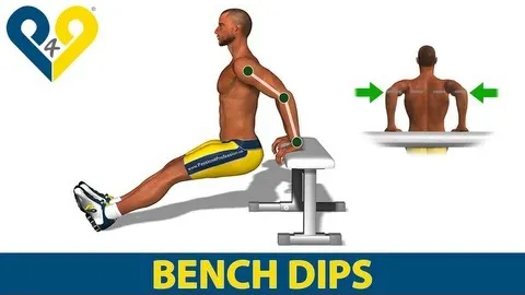 Triceps Bench Dips with Feet on Floor