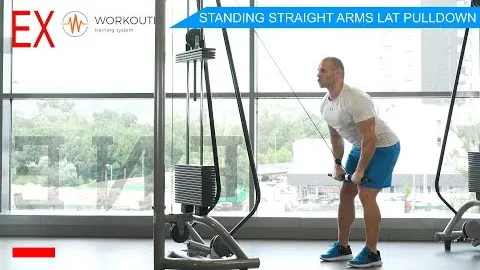 STANDING STRAIGHT ARMS LAT PULLDOWN