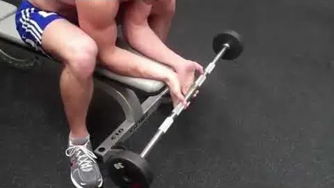 Seated Barbell Wrist Curl