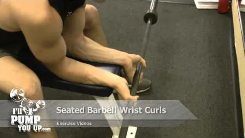 Seated Wrist Curl