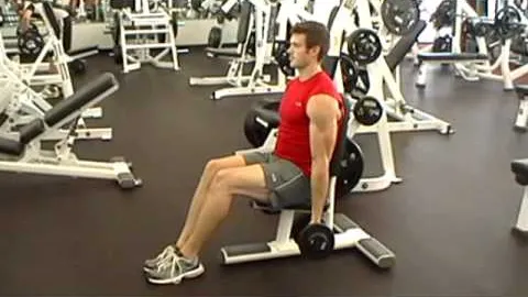 Seated Alternating Dumbbell Bicep Curl