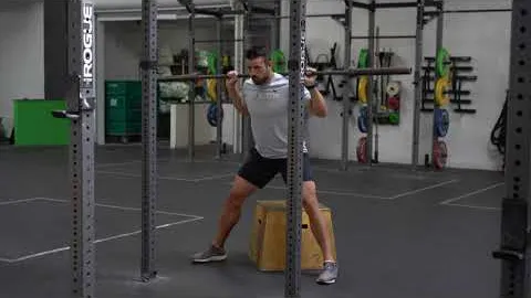 Wide Stance Barbell Box Squat