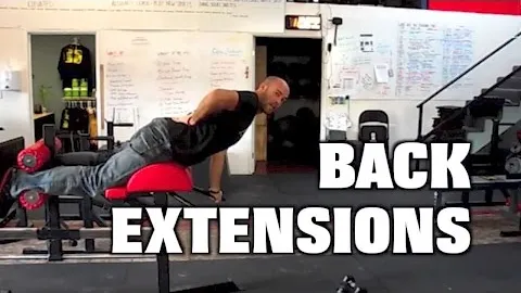 Bench Back Extension