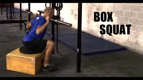 Box Squat