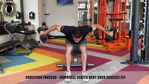 DUMBBELL SEATED BENT OVER REVERSE FLY
