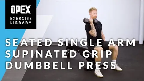 Seated Single Arm Supinated Grip Dumbbell Press
