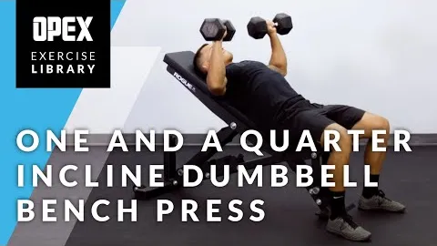 1 1/4 Incline Dumbbell Bench Press