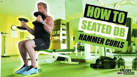 Seated Dumbbell Hammer Curl
