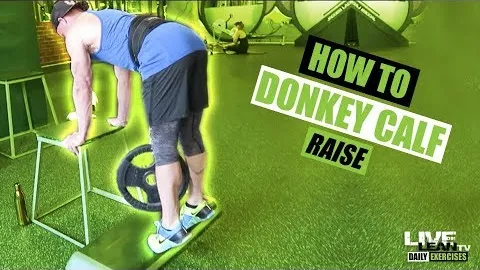 Donkey Calf Raise