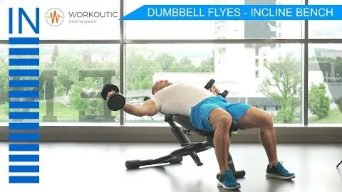 DUMBBELL FLY INCLINE BENCH